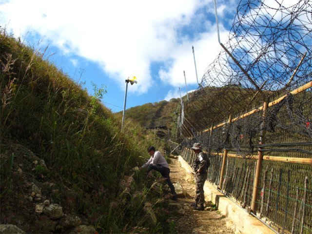 DMZ 일대. 국립수목원 제공