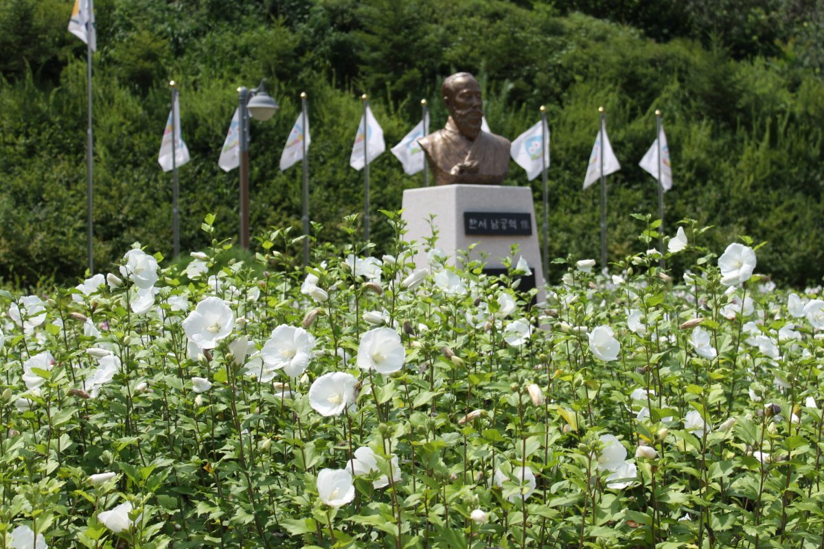 홍천 무궁화수목원. 무궁화는 대표적인 여름 꽃이다. 이두용 작가 제공