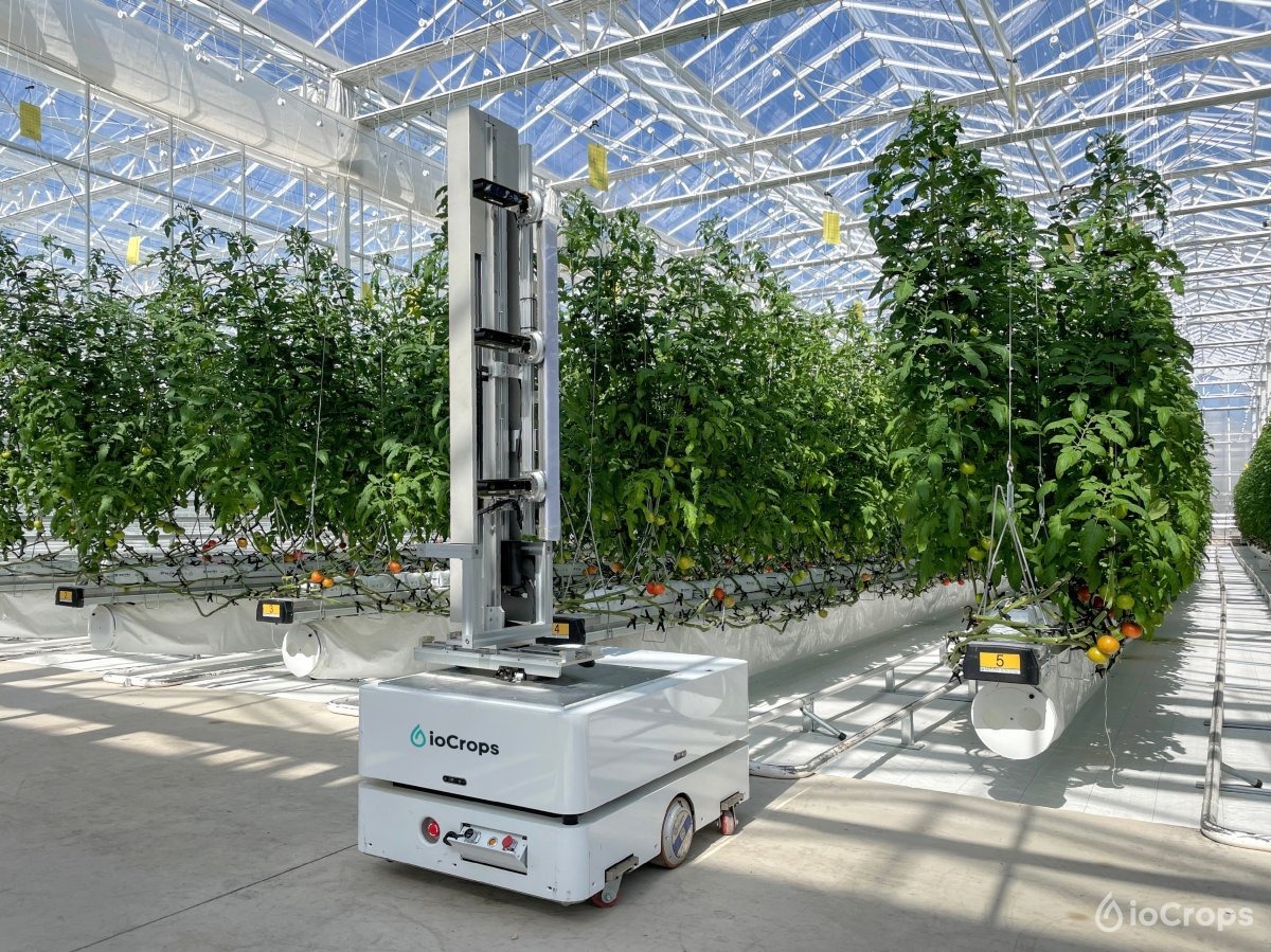 인공지능 로봇이 아이오크롭스 농장에서 작물 상태를 촬영해 최적 생육 조건을 데이터로 추출한다.  아이오크롭스 제공
