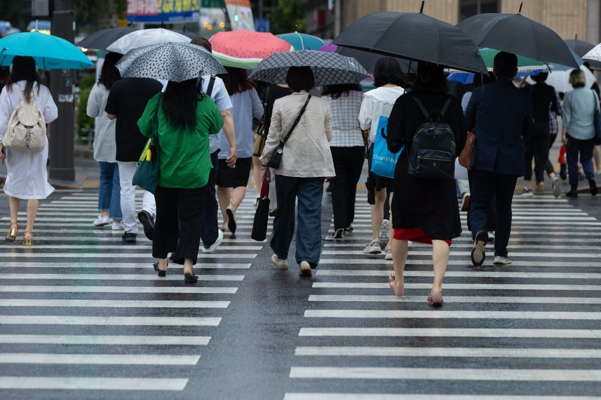 본격적인 여름 장마가 시작된 지난 26일 오전 서울 세종대로사거리에서 우산을 쓴 출근길 시민들이 발걸음을 재촉하고 있다. 뉴스1