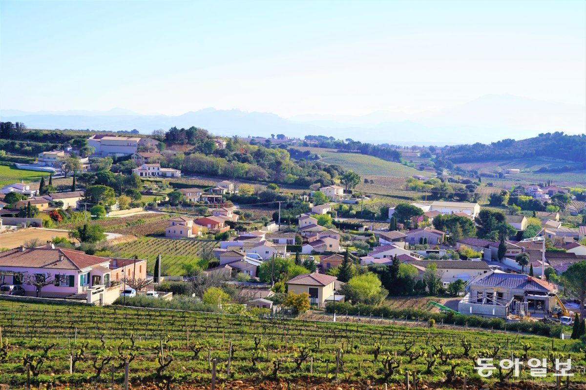 아비뇽 북쪽으로 12km 떨어진 언덕마을인 샤토뇌프뒤파프. 교황이 마시던 와인을 생산하는 포도밭의 전경이 시원하게 펼쳐진다.