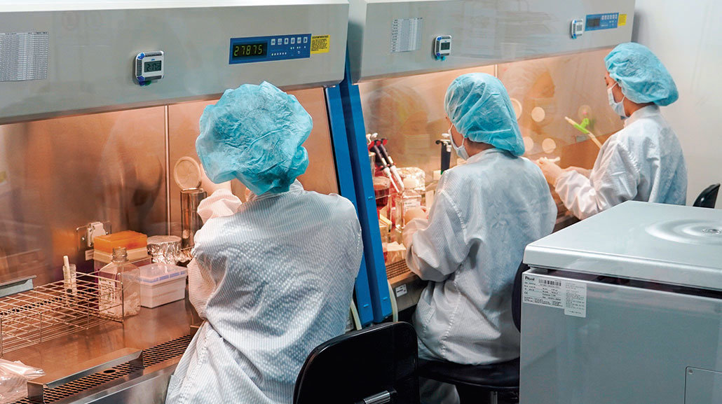 연세사랑병원 임상시험센터 연구원들이 지방세포에서 중간엽 줄기세포를 추출하고 있다. 사진 홍중식 기자