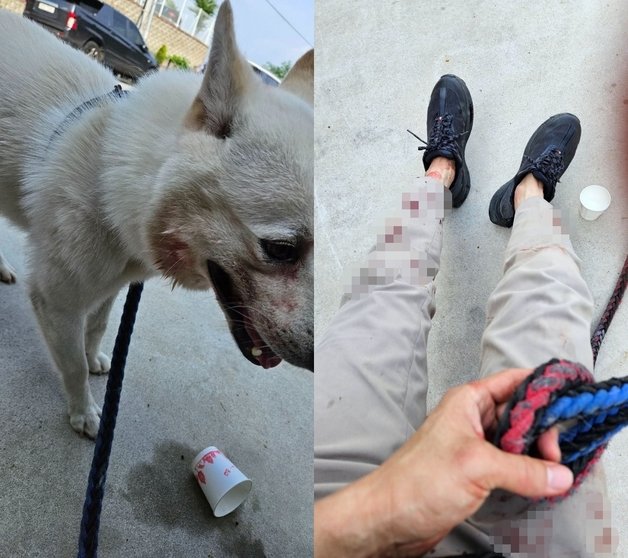 (온라인 커뮤니티 갈무리)