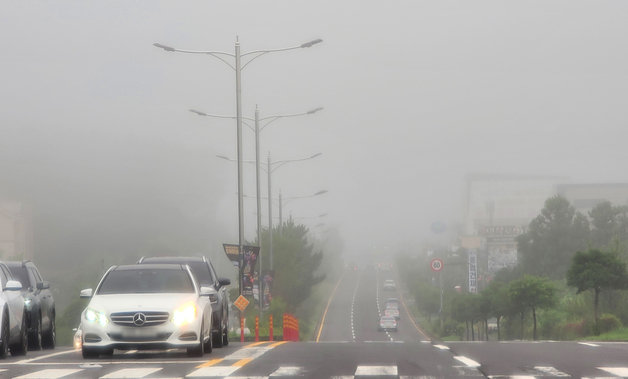 3일 오후 제주시내에 짙은 안개가 깔려 있다. 2023.7.3/뉴스1