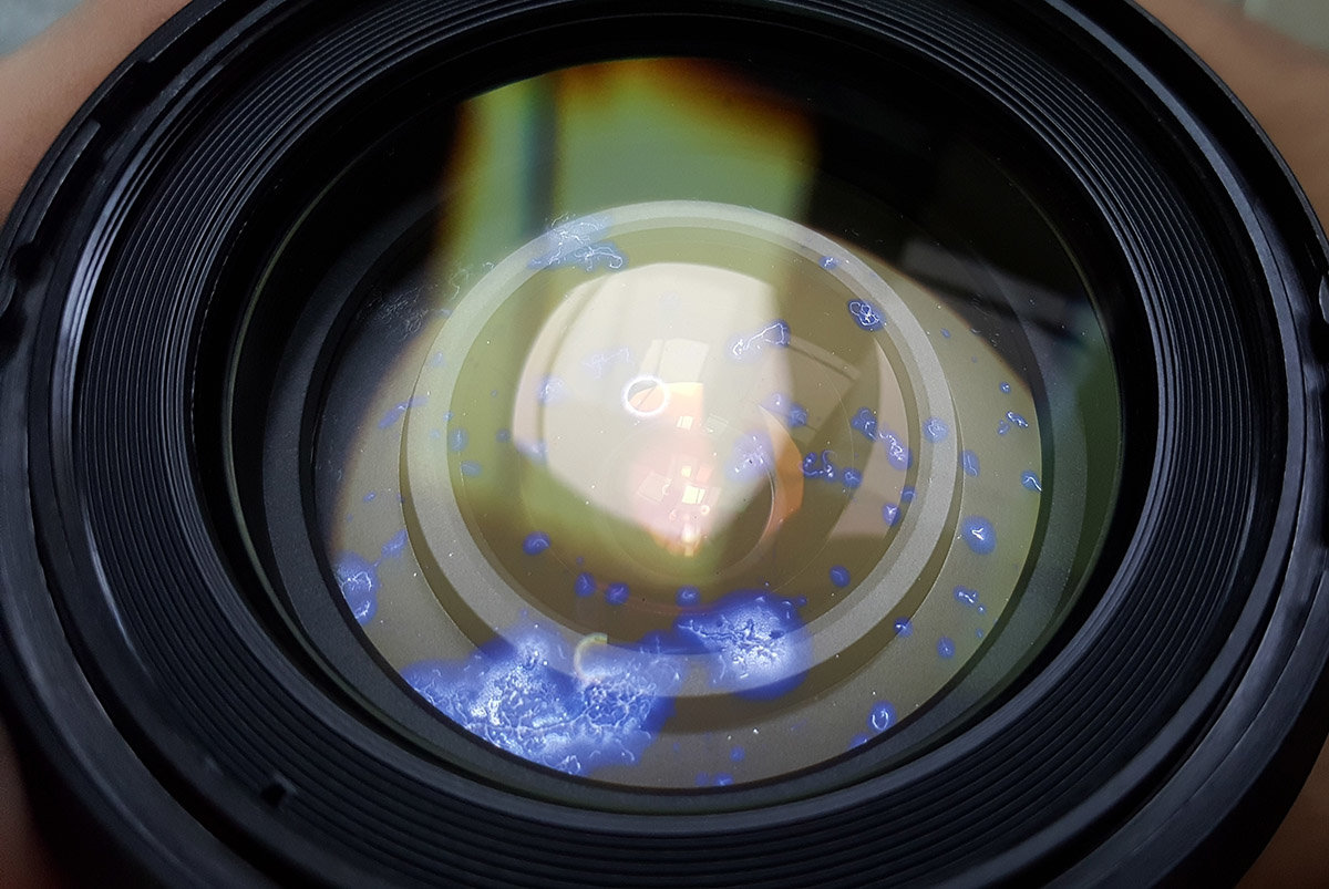 보관을 잘못해서 렌즈 내부에 곰팡이가 핀 경우, 고가의 렌즈라면 복원 처리를 시도해볼 수 있겠으나 그렇지 않다면 수리는 포기해야 합니다.출처=셔터스톡