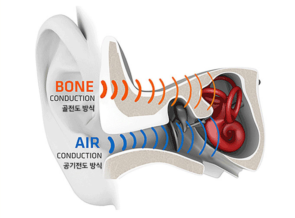 골전도와 공기 전도 방식의 차이. 골전도는 달팽이관에 진동을 전달한다. 출처=샥즈