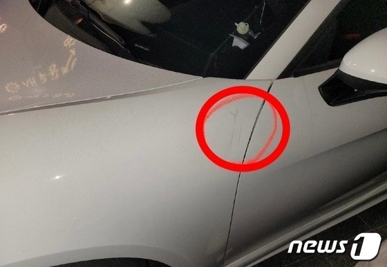 (보배드림 갈무리)