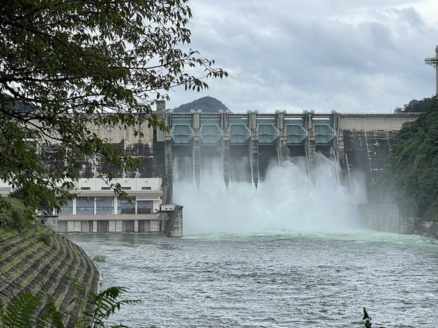 사진은 지난해 8월 방류 모습./ ⓒ News1