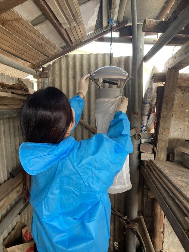 충북보건환경연구원 감염병 매개모기 밀도조사