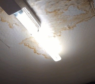 (‘보배드림’ 갈무리)