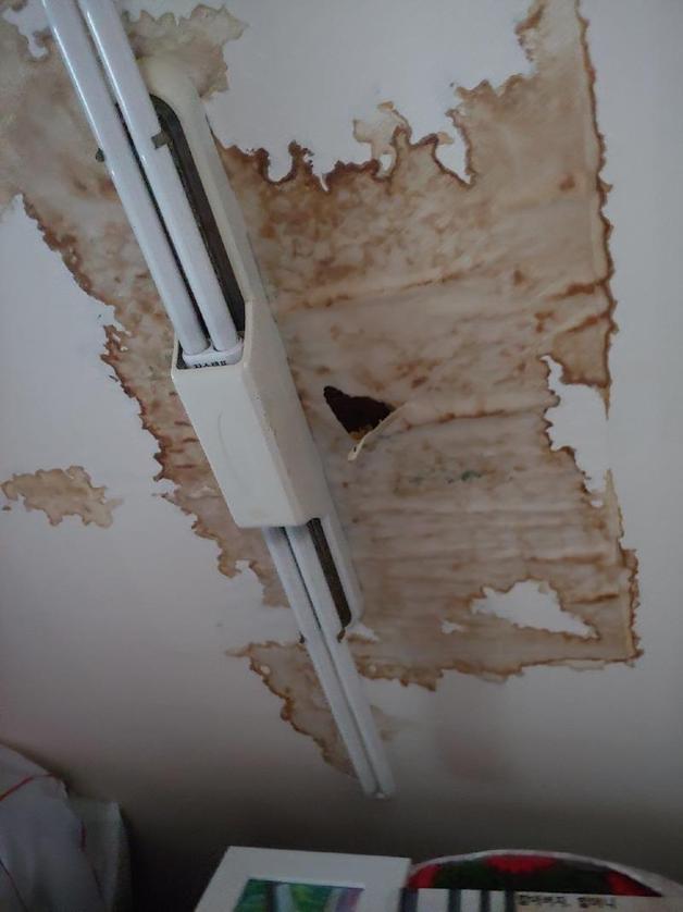 (‘보배드림’ 갈무리)