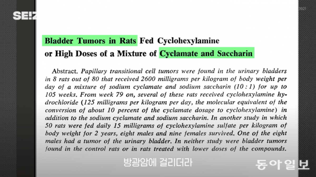 사카린을 먹으면 방광암에 걸리기 쉽다는 동물 실험 결과를 실은 논문. (출처 : 유튜브 채널 ‘씨즈’)