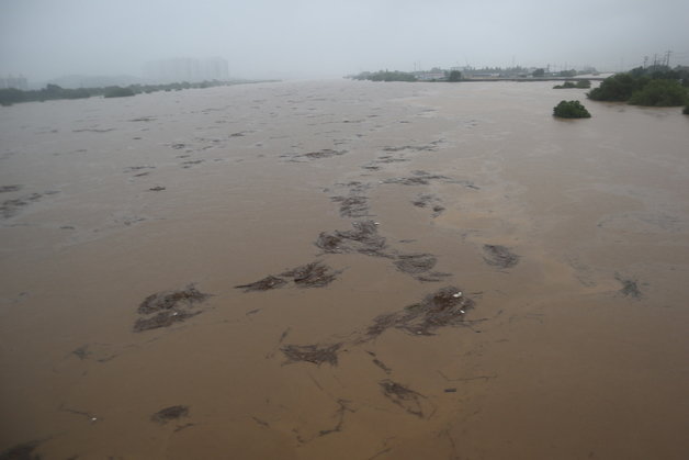 사흘째 내린 많은 비로 홍수경보가 내려진 미호강 수위가 가득차 있다.2023.07.15./뉴스1