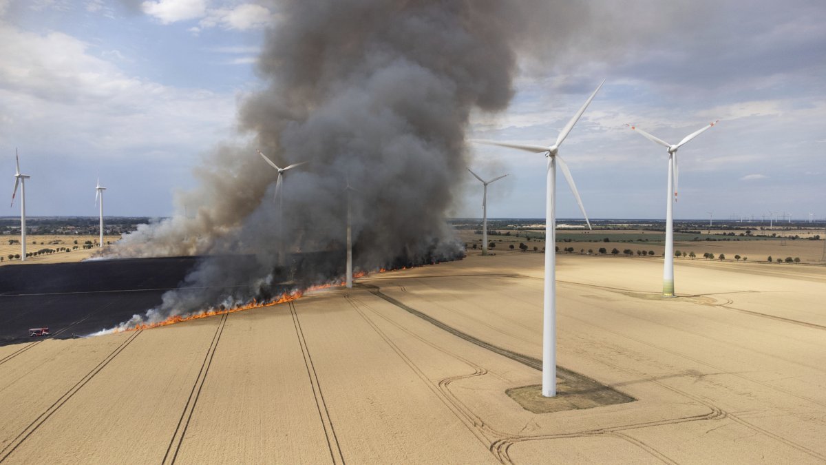 15일 독일 동부 조어빅 마을 인근 육상 풍력 발전 단지의 한 들판에 불이 나고 있다. AP 뉴시스