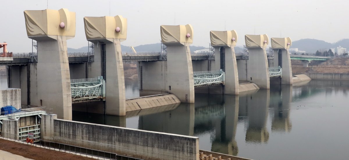 충남 공주보 모습. 뉴스1