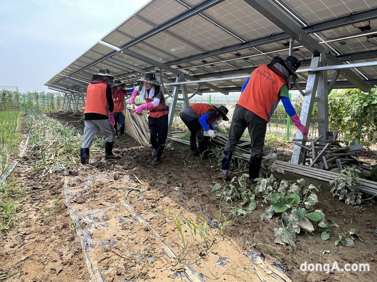 한국타이어 임직원 참여 청주지역 수해복구활동. 한국타이어 제공