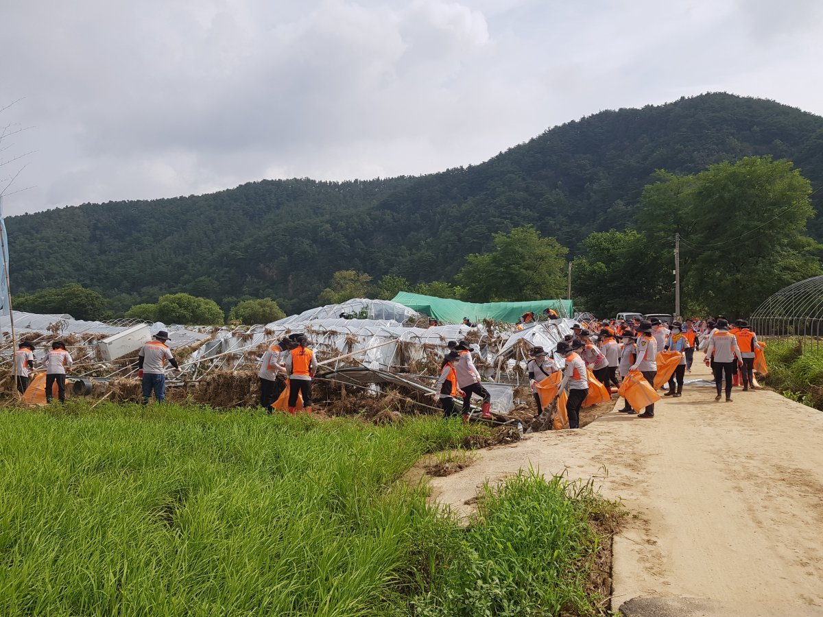 25일 경북 예천군 용궁면 회룡포 마을에서 의용소방대원들이 수해로 무너진 비닐하우스를 철거하고 있다. 경북소방본부 제공