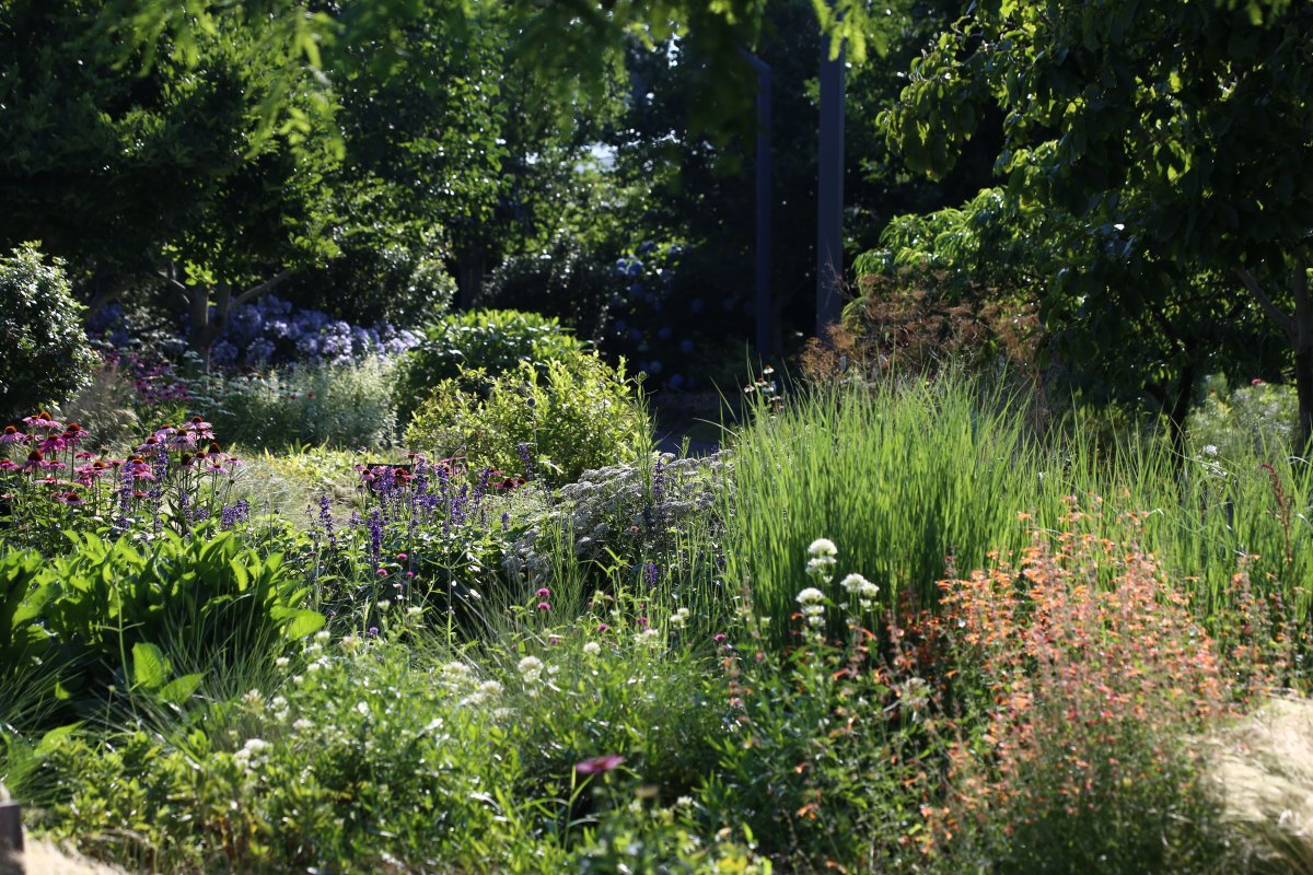 빛과 어둠이 빚어내는 베케 정원의 풍경은 자연을 마주하는 자세를 돌아보게 한다. 사진제공 아티샤. 베케