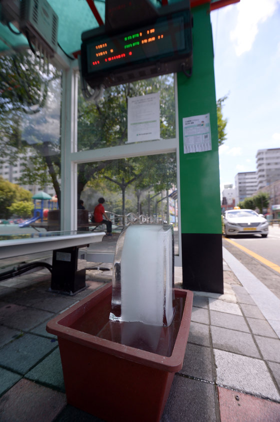 전국 대부분 지역에 폭염경보가 발효된 1일 오후 화순군 화순읍 한 버스정류장에서 열섬 현상 방지를 위해 비치된 얼음이 녹아 내리고 있다. 2023.8.1/뉴스1