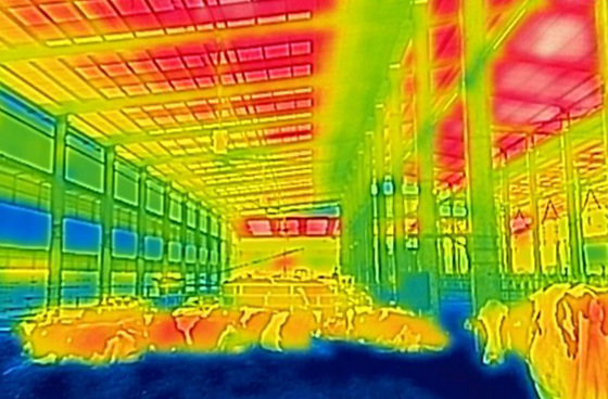 전국에 폭염특보가 이어진 3일 오후 경기도 화성시의 한 축사에서 젖소들이 쿨링포그 시설로 더위를 식히고 있다. 붉게 표시된 축사 천장은 온도가 상대적으로 높은 반면, 배수관을 따라 설치된 쿨링포그 시설은 상대적으로 온도가 낮은 노란색에서 초록색을 띄고 있다. (열화상 카메라 촬영) 2023.8.3/뉴스1
