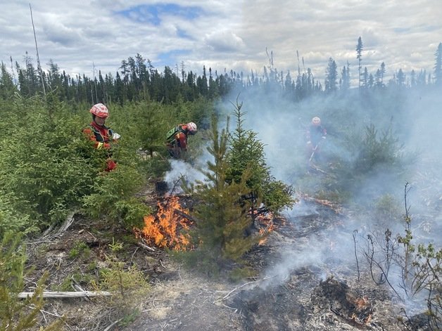 대한민국 해외긴급구호대(KDRT). (산림청 제공) 2023.8.3./뉴스1