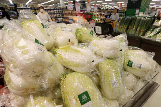 서울 한 마트에서 판매하는 배추 등 채소(사진은 기사 내용과 무관함) ⓒ News1