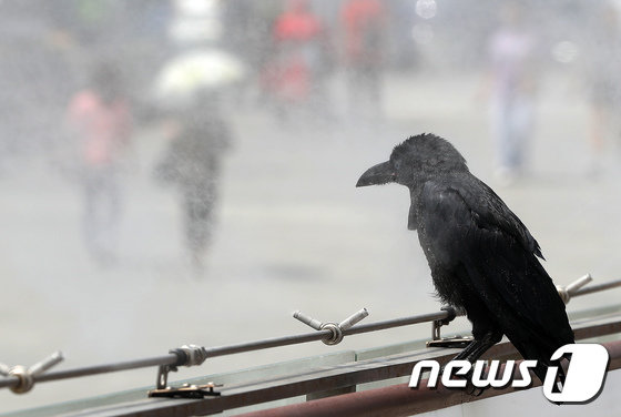 기사와 직접 관련 없는 자료 사진