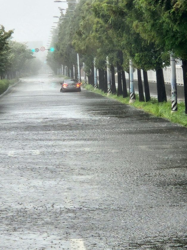 10일 오전 7시54분께 부산 강서구 화전동 한 도로에서 승용차가 빗물에 고립돼 있다. (부산소방재난본부 제공)