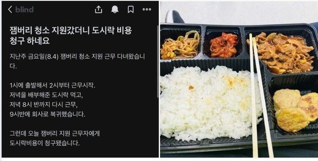 새만금 잼버리 청소 등을 위해 자원봉사 형식으로 긴급투입됐던 전북의 한 공무원이 ‘일을 시켜놓고 도시락값까지 내라고 하더라. 이게 1만2000원짜리 도시락이냐’며 인터넷 커뮤니티 사이트에 분통을 터뜨렸다.  (SNS 갈무리)