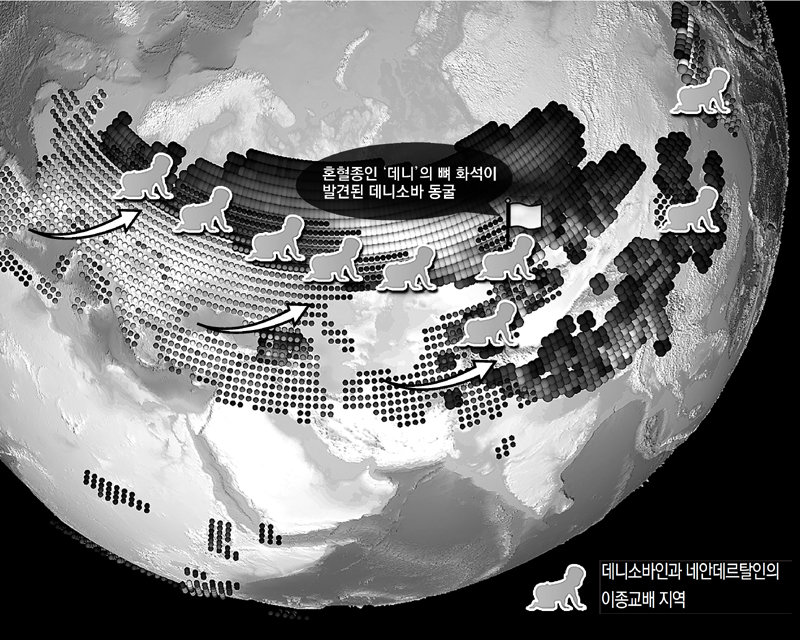 남서부 유라시아에서 주로 살던 네안데르탈인은 간빙기에 북동부 유라시아의 기후가 온화해지자 동쪽으로 이동하기 시작했다. 그 결과 북동부 유라시아에 거주하던 데니소바인과의 만남이 이뤄졌다. IBS 제공