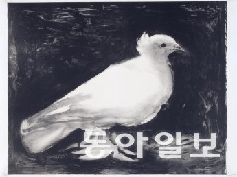 피카소의 비둘기. 1949년 작품.  출처 영문위키