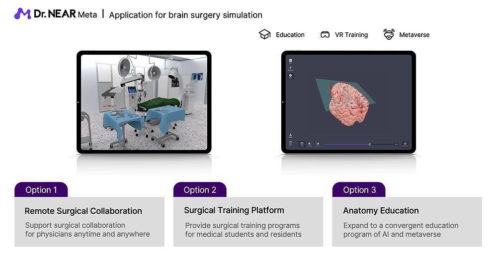 니어브레인은 뇌 3D 모델링과 메타버스 기술의 완성도를 높여 다양한 의료 영역에 제공할 전망이다 / 출처=니어브레인