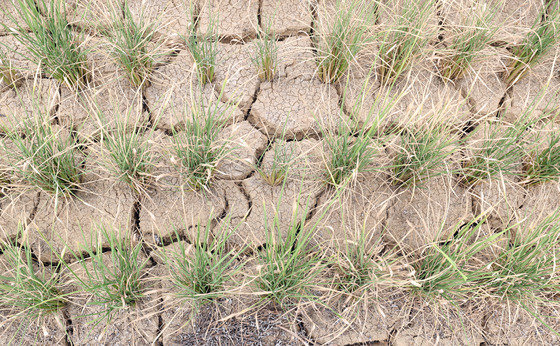 자료 사진.2018.8.16/뉴스1 ⓒ News1