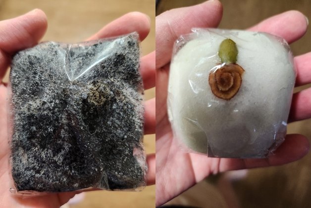 A씨가 신입사원에게 받았다고 자랑한 떡. (온라인 커뮤니티 갈무리)