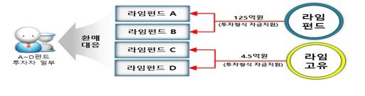 특정 펀드 수익자를 위한 펀드 돌려막기 구조(금융감독원 제공)