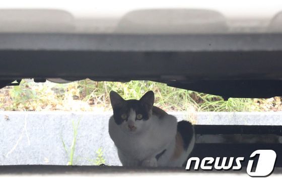 기사와 직접관련 없는 자료사진