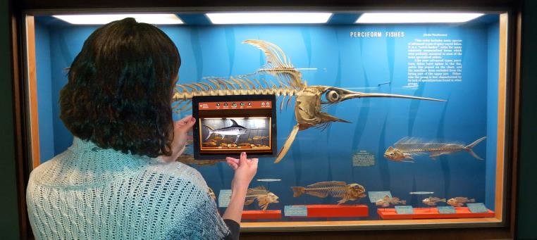 미국 스미스소니언 박물관에서 한 관람객이 증강현실(AR) 기술을 사용해 물고기의 뼈에 살과 비늘을 붙이고 있다. 흐름출판 제공