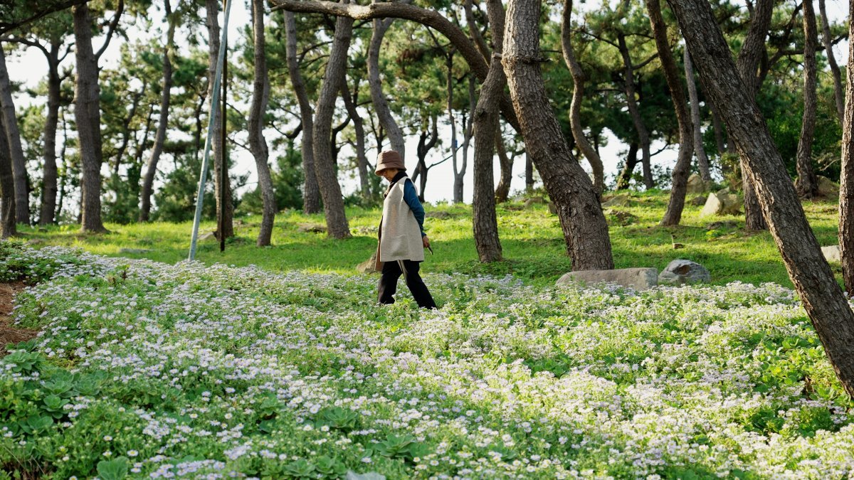 정영선 조경가는 “우리의 경관은 한 번 잘못 건드리면 되돌리는 데 너무 오랜 시간이 걸린다”며 “어느 나라에 비교해도 아름다운 경관이 지속적으로 전승되도록 해야 한다”고 말한다.  정다운 감독 제공