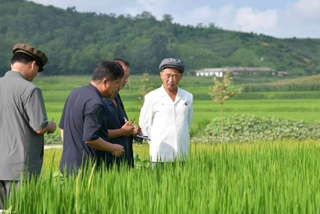 지난 8일 황해남북도와 평안남도의 여러 군에서 농사 작황을 살펴본 김덕훈 내각총리. 평양 노동신문=뉴스1