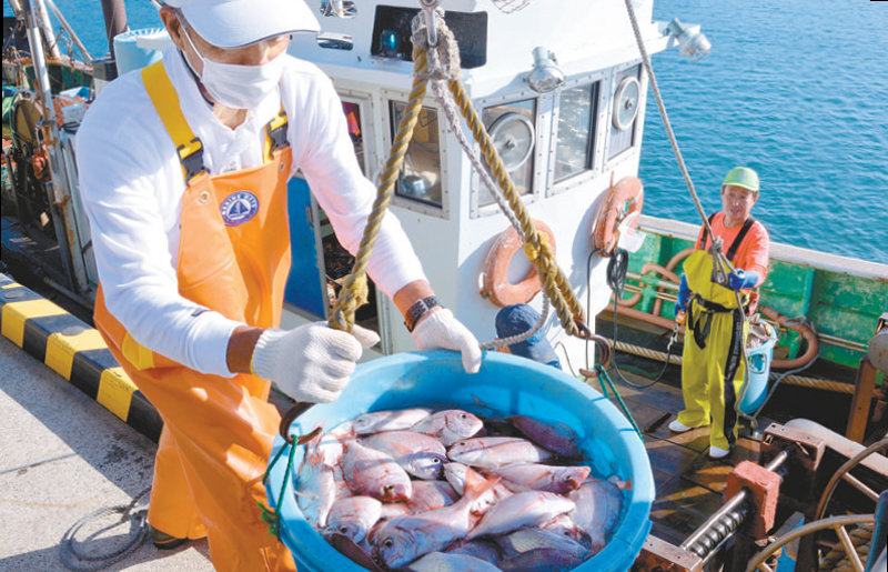1일 일본 후쿠시마현 앞바다에서 한 어민이 바다에서 잡은 생선이 담긴 바구니를 들어 보이고 있다. 아사히신문 제공