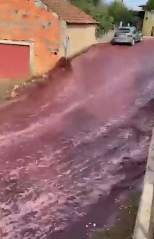 10일(현지시간) 포르투갈 상로렌수 두바이로 마을의 레비라 양조장에서 와인을 보관하던 탱크 2개가 터지면서 약 220만 리터의 와인이 거리로 쏟아져 나오고 있다. 트위터 @AweInspireMe