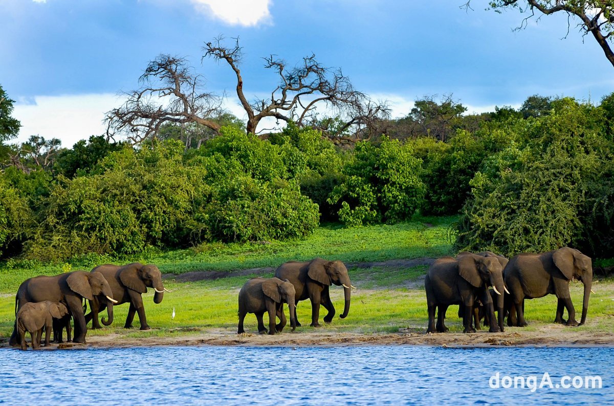 탄자니아 응고롱고로 국립공원