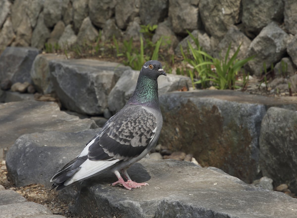 기사와 무관한 이미지. 게티이미지뱅크