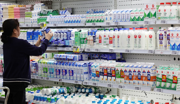 서울의 한 대형마트에서 시민이 우유를 고르고 있다. 서울우유협동조합에 따르면 오는 10월 1일부터 대형마트에 납품하는 ‘나100%우유(1L)’의 출고가를 3% 인상한다. 뉴스1