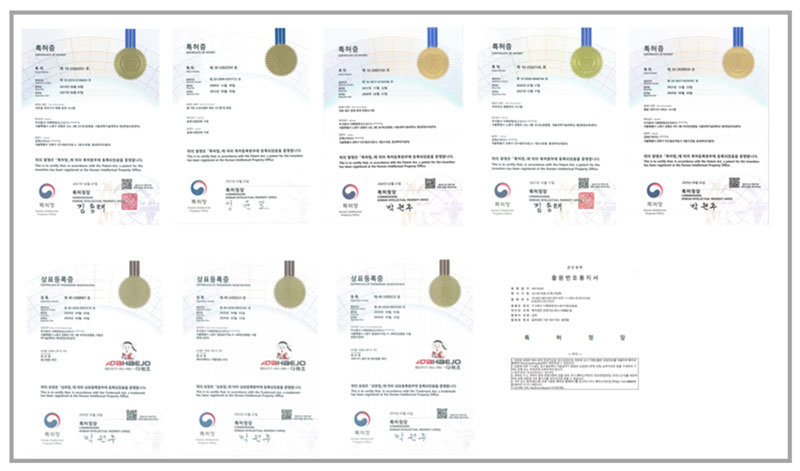 다해줘테크는 특허등록 5건, 특허출원 1건, 상표등록 3건을 획득했다 / 출처=다해줘테크