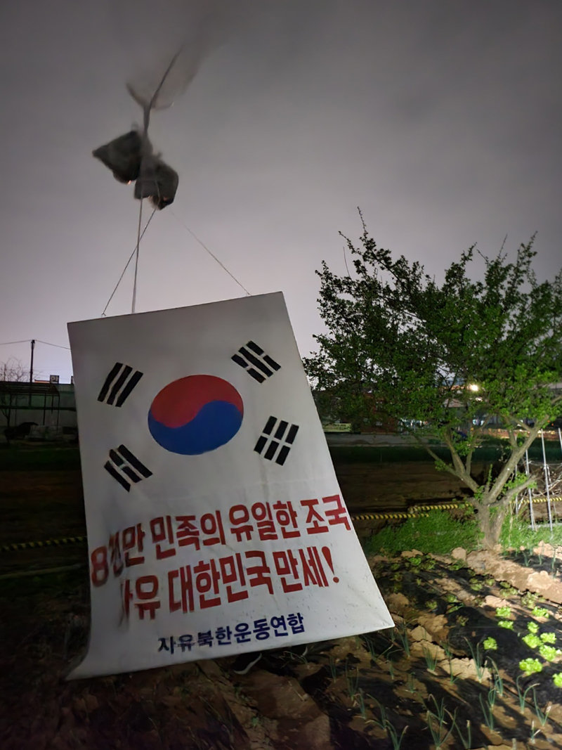 지난해 4월 25, 26일 경기 김포시에서 박상학 자유북한운동연합 대표가 풍선에 묶어 날린 대북 전단. 자유북한운동연합 제공