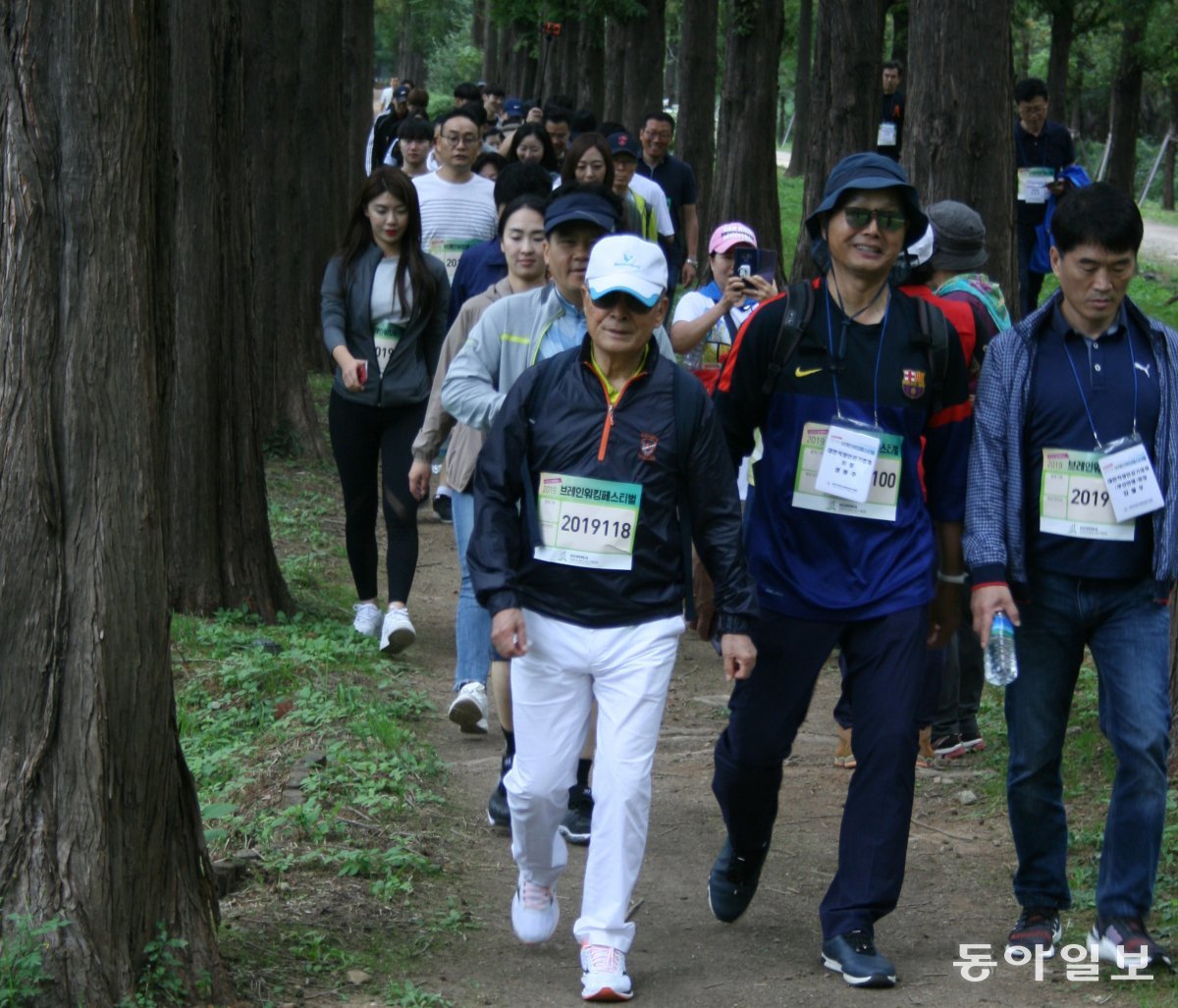 걷기가 치매 예방에는 최고다.  사진은 2019년 열린 브레인워킹페스티벌에 서 참가자들이 걷고 있는 모습. 양종구 기자 yjongk@donga.com