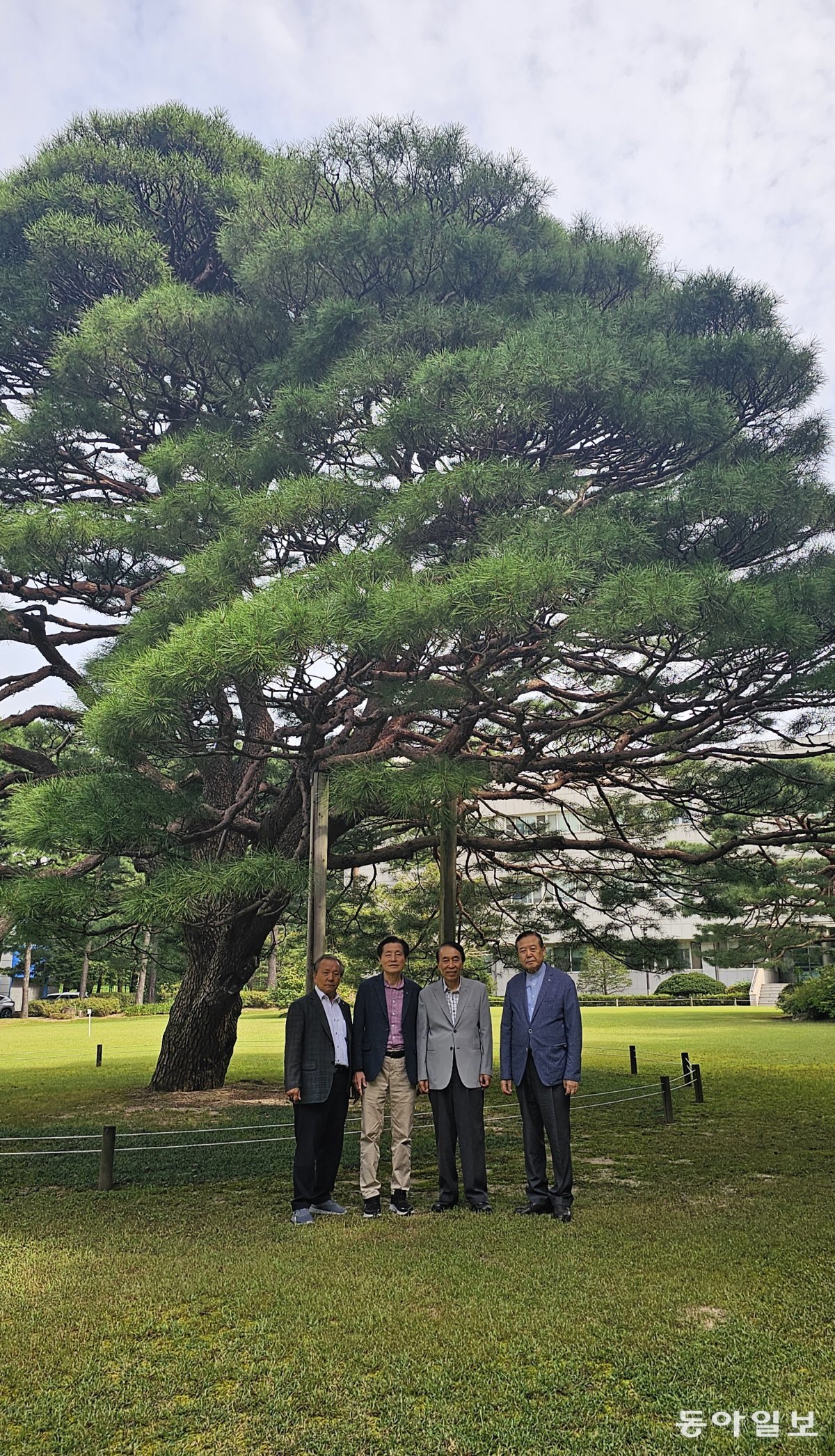 서울 홍릉숲의 최장수 나무(1892년 생)이자 산 증인인 반송 앞에  선 한국산림정책연구회  회원들.  김선미 기자