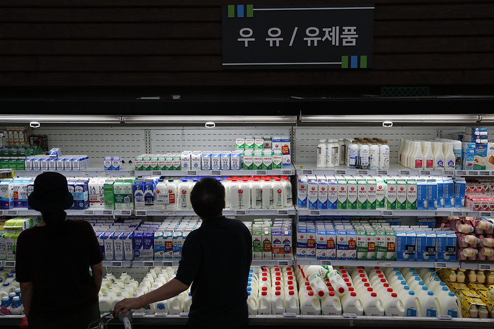 우유의 원재료인 원유가격이 리터당 88원(8.8%) 오르면서 서울우유협동조합과 매일유업, 남양유업 등은 지난 1일부터 우유 가격을 인상했다. 사진은 2일 오전 서울 시내 대형마트에 진열된 우유. 2023.10.02.뉴시스