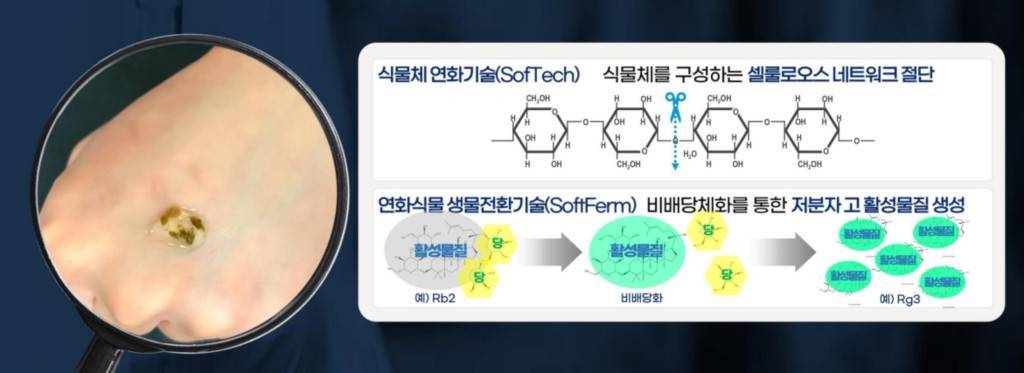 식물이 피부에서 그대로 녹아 스며들며 효능을 높인다 / 출처=라피끄